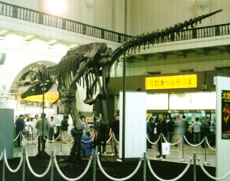 Giganotosaurus in Ueno st. '98 FRAME