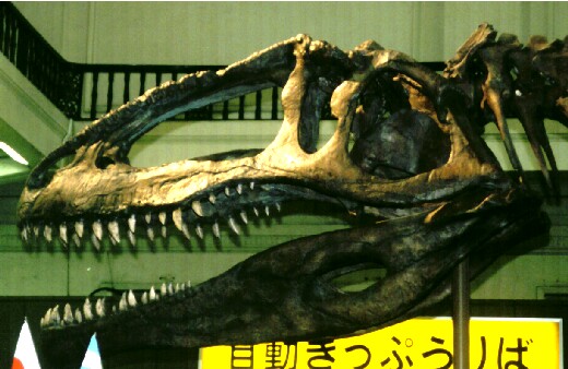 Giganotosaurus in Ueno st. '98 FRAME Giganotosaurus in Ueno st. '98 FRAME
