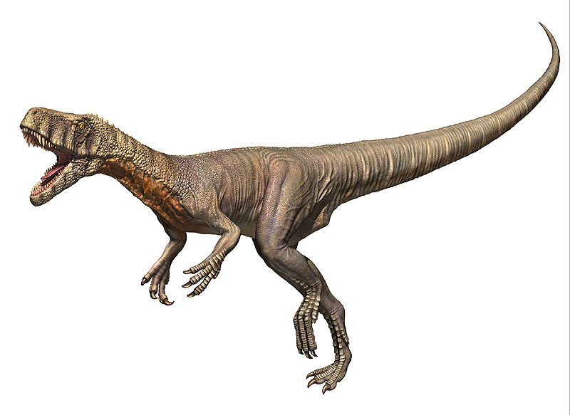 フレングエリサウルス