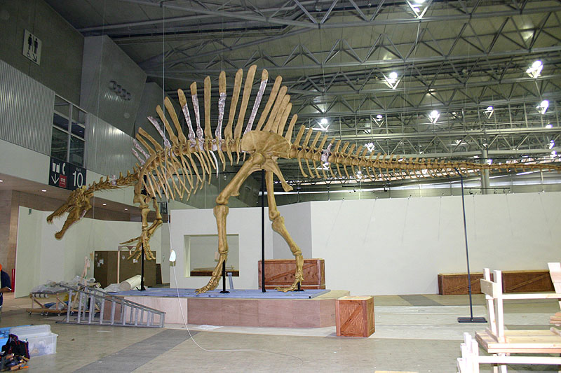 Spinosaurs aegyptiacus