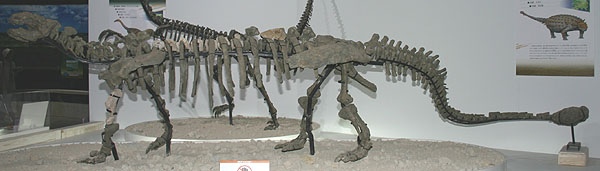 Tianzhenosaurus hui