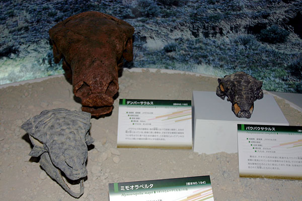 Leht:Mymoorapelta maysi, Denversaurus schlessmani, Pawpawsaurus campbelli