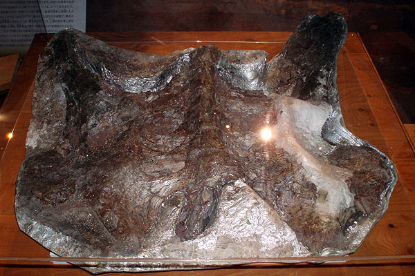 Jiangjunosaurus junggarensis