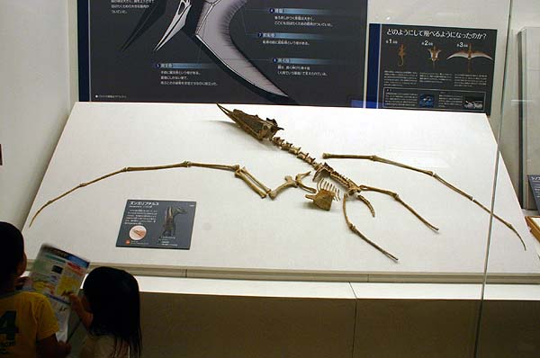 Dsungaripterus