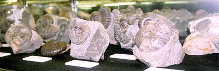 �A�����i�C�g