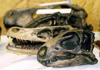 nanosaurus.jpg