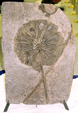 �E�~����