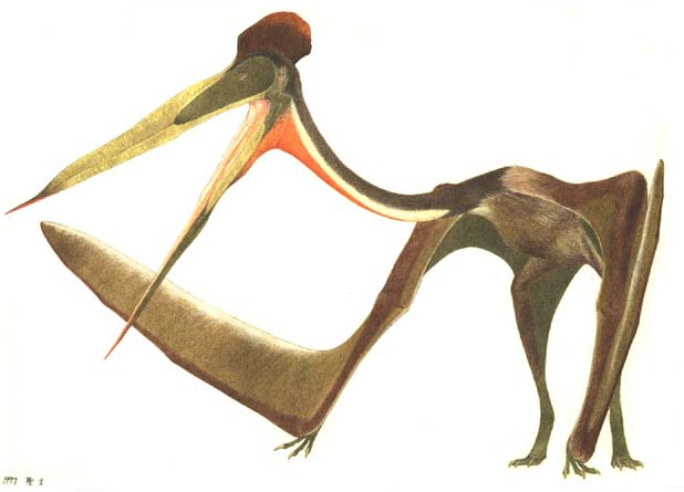 quetzalcoatlus Pc@RAgX