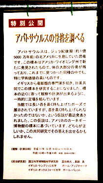 ����Ɏ��t����ꂽ������